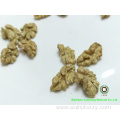 Walnut Kernels Light color